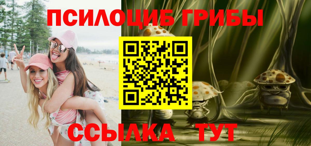 Качканар  Псилоцибиновые грибы мицелий  Вход с VPN 