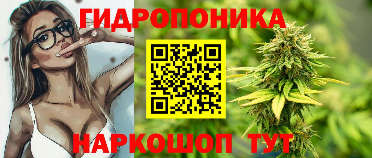 Каннабис White Widow Качканар